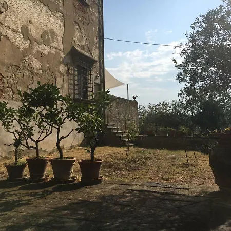 Lawrence's House